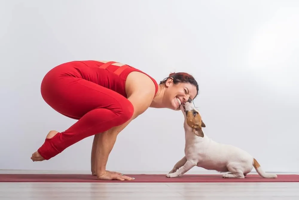 Find Harmony with Puppy Yoga