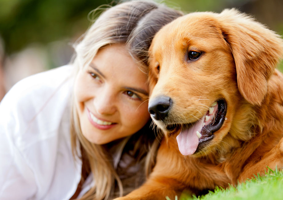CBD Oil and Your Dog’s Skin Health: Benefits and Uses