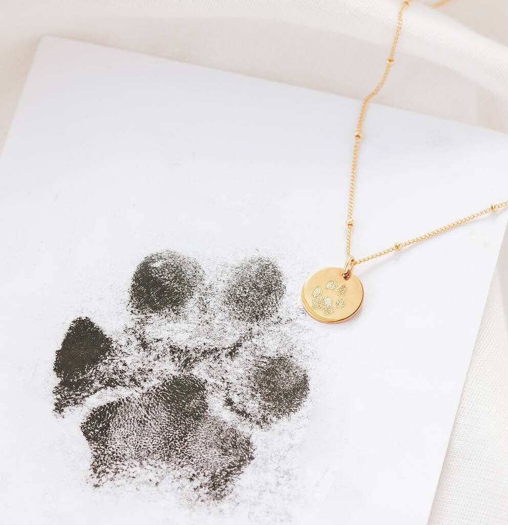 dog paw print drawing